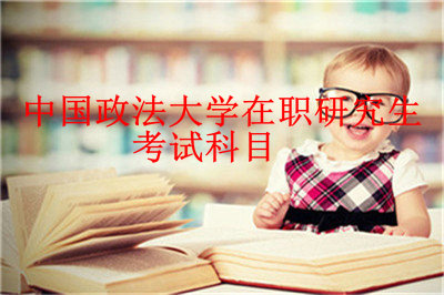中国政法大学在职研究生考试科目